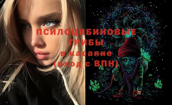 амф Надым