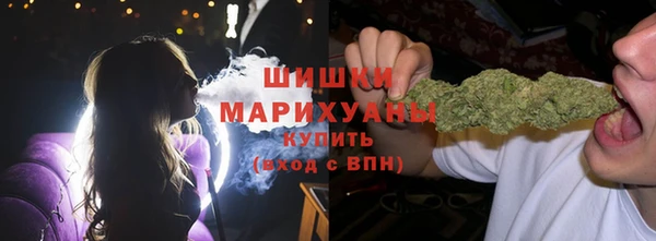 гидра Наволоки
