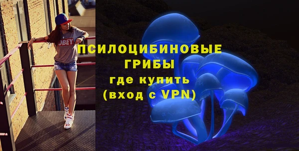 амф Надым
