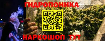apvp Кимры