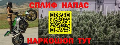 apvp Кимры