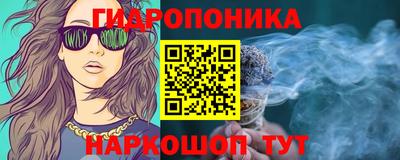 apvp Кимры