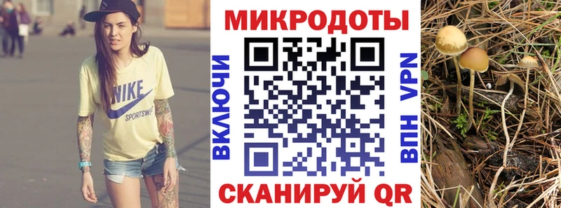Псилоцибиновые грибы Psilocybe  Сызрань 