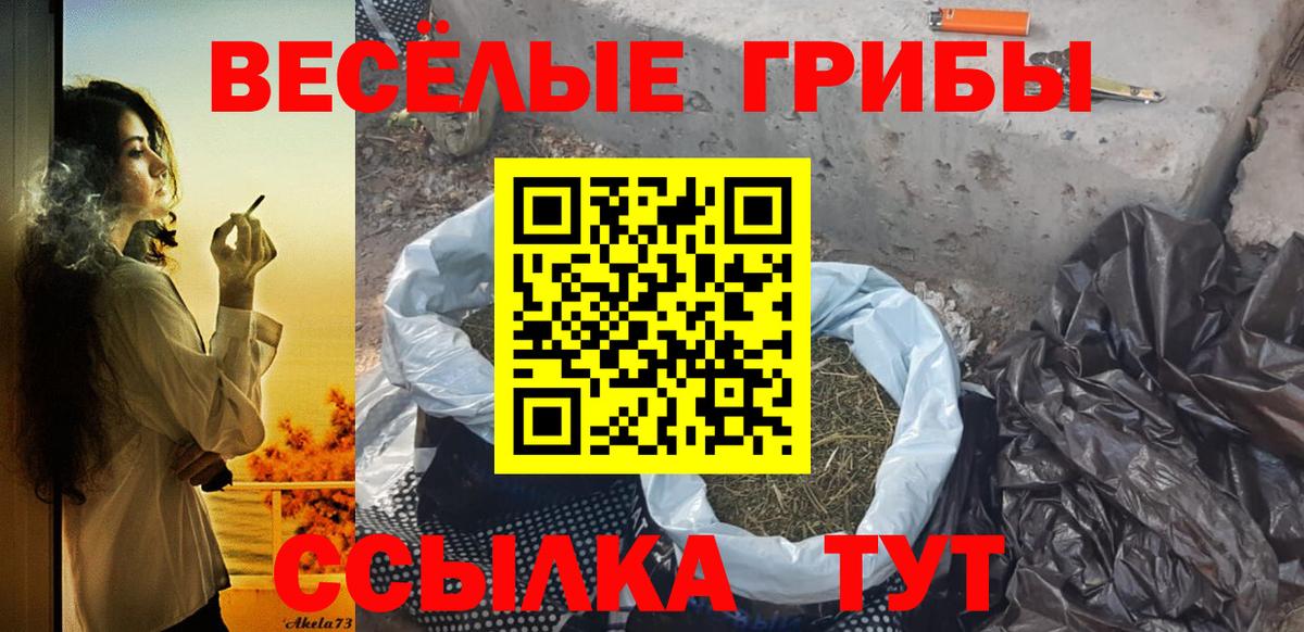 Галлюциногенные грибы прущие грибы Сызрань