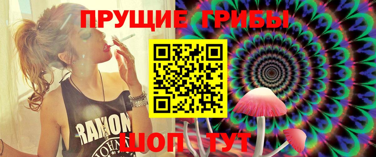 Псилоцибиновые грибы Psilocybine cubensis  Вход с VPN  Псилоцибиновые грибы GOLDEN TEACHER  Сызрань 